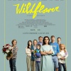 339279734_wildflower-poster-1.jpg