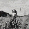 Filename=amanda_0010.gif
Filesize=3092KiB
Dimensions=2480x3306
Date added=Nov 05, 2023 amanda_0010.gif