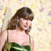 Filename=taylor_0058.jpg
Filesize=302KiB
Dimensions=2048x1363
Date added=Jan 14, 2024 taylor_0058.jpg