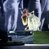 Filename=taylor_0056.jpg
Filesize=880KiB
Dimensions=2048x1365
Date added=Jan 04, 2025 taylor_0056.jpg