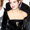 28966_kaneda_Emma_Watson_Warner_Brothers_Leavesden_Studios_Photocall_20_123_112lo.jpg