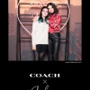 Filename=goddessgomez_0499.jpg
Filesize=391KiB
Dimensions=1600x2400
Date added=Apr 25, 2025 goddessgomez_0499.jpg