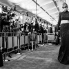 taylor_0430.jpg