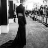 taylor_0443.jpg