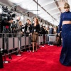 taylor_0445.jpg