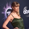 Filename=taylor_0014.jpeg
Filesize=735KiB
Dimensions=2048x1350
Date added=May 01, 2025 taylor_0014.jpeg