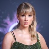 Filename=taylor_0077.jpg
Filesize=9642KiB
Dimensions=8256x5504
Date added=May 01, 2025 taylor_0077.jpg