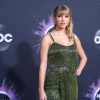 Filename=taylor_0080.jpg
Filesize=9006KiB
Dimensions=7497x4998
Date added=May 01, 2025 taylor_0080.jpg