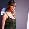 Filename=taylor_0083.jpg
Filesize=896KiB
Dimensions=2048x1524
Date added=May 01, 2025 taylor_0083.jpg