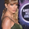 Filename=taylor_0366.jpg
Filesize=2902KiB
Dimensions=3280x4928
Date added=May 01, 2025 taylor_0366.jpg
