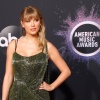 Filename=taylor_0864.jpg
Filesize=1188KiB
Dimensions=2048x1365
Date added=May 01, 2025 taylor_0864.jpg