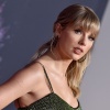 Filename=taylor_0939.jpg
Filesize=943KiB
Dimensions=2048x1363
Date added=May 01, 2025 taylor_0939.jpg