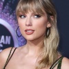 Filename=taylor_1143.jpg
Filesize=2432KiB
Dimensions=2625x3500
Date added=May 01, 2025 taylor_1143.jpg