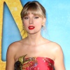 Filename=taylor_0345.jpg
Filesize=3030KiB
Dimensions=2472x2755
Date added=May 01, 2025 taylor_0345.jpg