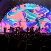 taylor_0015.jpg