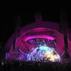 taylor_0029.jpg