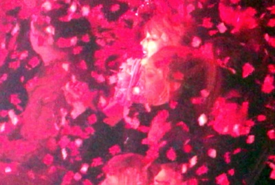 taylor_0900.jpg