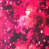 Filename=taylor_0900.jpg
Filesize=311KiB
Dimensions=2100x1416
Date added=May 01, 2025 taylor_0900.jpg