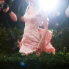 Filename=taylor_0229.jpg
Filesize=979KiB
Dimensions=2000x3000
Date added=May 02, 2025 taylor_0229.jpg