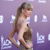 Filename=taylor_0004.jpg
Filesize=1022KiB
Dimensions=3045x2092
Date added=May 02, 2025 taylor_0004.jpg