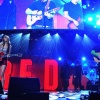 taylor_0030.jpg