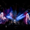 taylor_0026.jpg