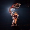Filename=taylor_0003.jpg
Filesize=2616KiB
Dimensions=4116x6000
Date added=May 04, 2025 taylor_0003.jpg
