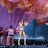 Filename=taylor_0192.jpg
Filesize=277KiB
Dimensions=1600x1067
Date added=May 05, 2025 taylor_0192.jpg