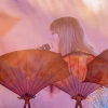 Filename=taylor_0156.jpg
Filesize=3921KiB
Dimensions=2422x1615
Date added=May 05, 2025 taylor_0156.jpg