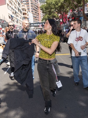 d_0045.jpg