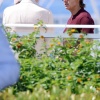 Filename=t_0152.jpg
Filesize=653KiB
Dimensions=2328x3500
Date added=Jun 08, 2025 t_0152.jpg