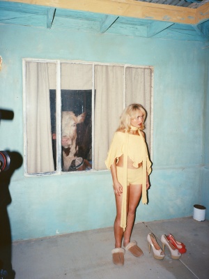 s_0018.jpg