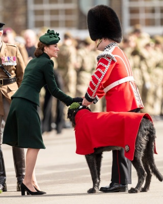 kate_0162.jpg