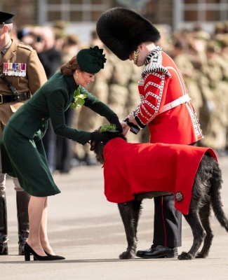 kate_0164.jpg