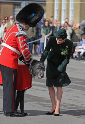 kate_0261.jpg