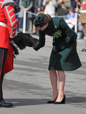 kate_0268.jpg
