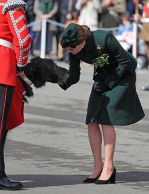 kate_0395.jpg