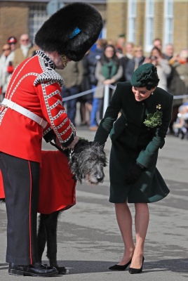 kate_0397~0.jpg
