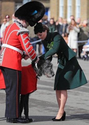 kate_0398.jpg