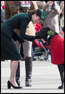 kate_0435.jpg