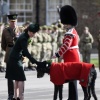 kate_0299.jpg