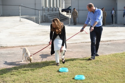 kate_0068.jpg