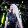 avamax_0013.jpg