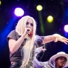 avamax_0015.jpg