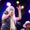 avamax_0016.jpg