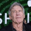 Harrison-Ford-178.jpg