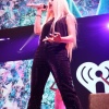 avamax_0047.jpg