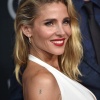 Filename=elsa_0109.jpg
Filesize=3063KiB
Dimensions=3280x4928
Date added=Apr 18, 2025 elsa_0109.jpg