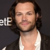 Filename=jared_0042.jpg
Filesize=277KiB
Dimensions=1366x1800
Date added=Apr 13, 2025 jared_0042.jpg
