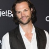 Filename=jared_0184.jpg
Filesize=1101KiB
Dimensions=2459x3000
Date added=Apr 13, 2025 jared_0184.jpg